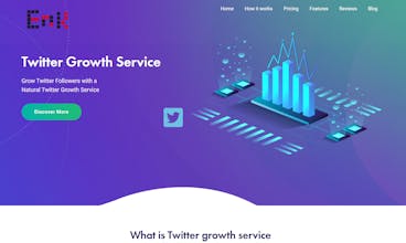 Twitter Growth Service gallery image
