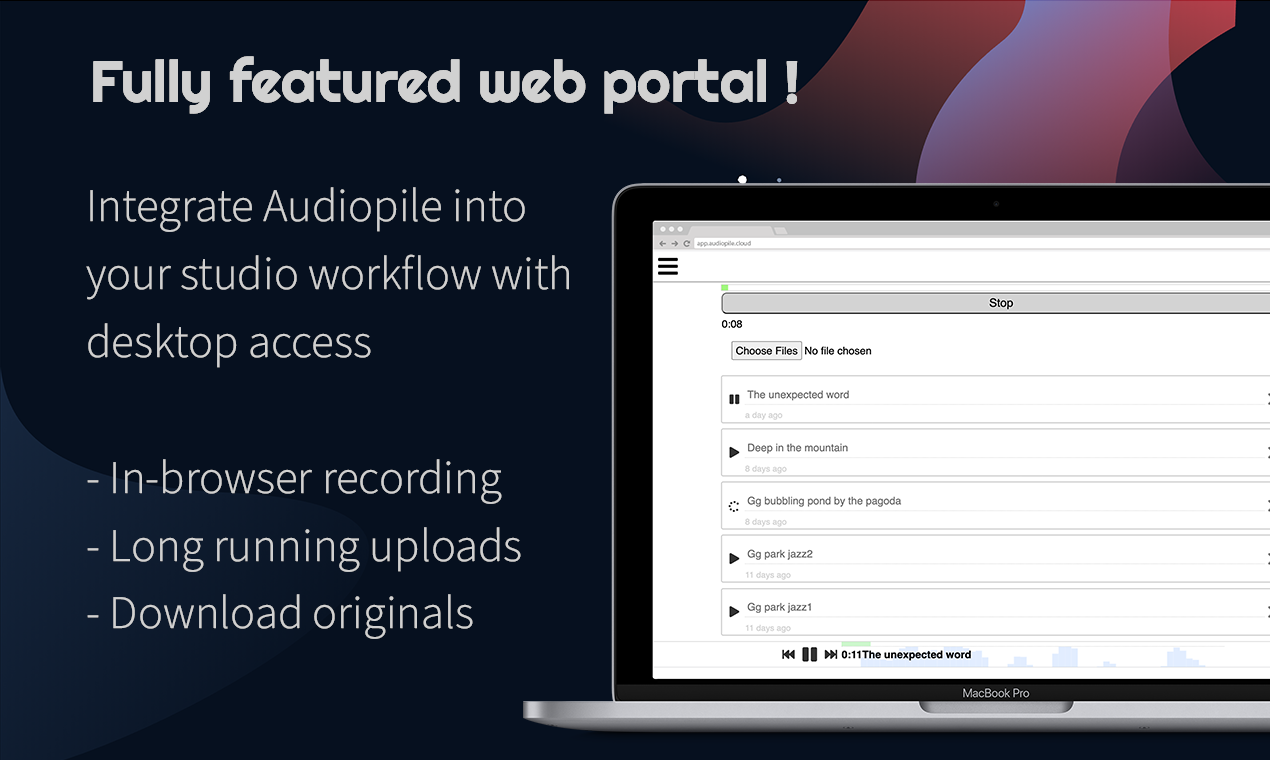Audiopile gallery image