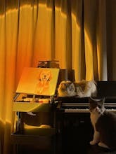 Sunset Lamp gallery image