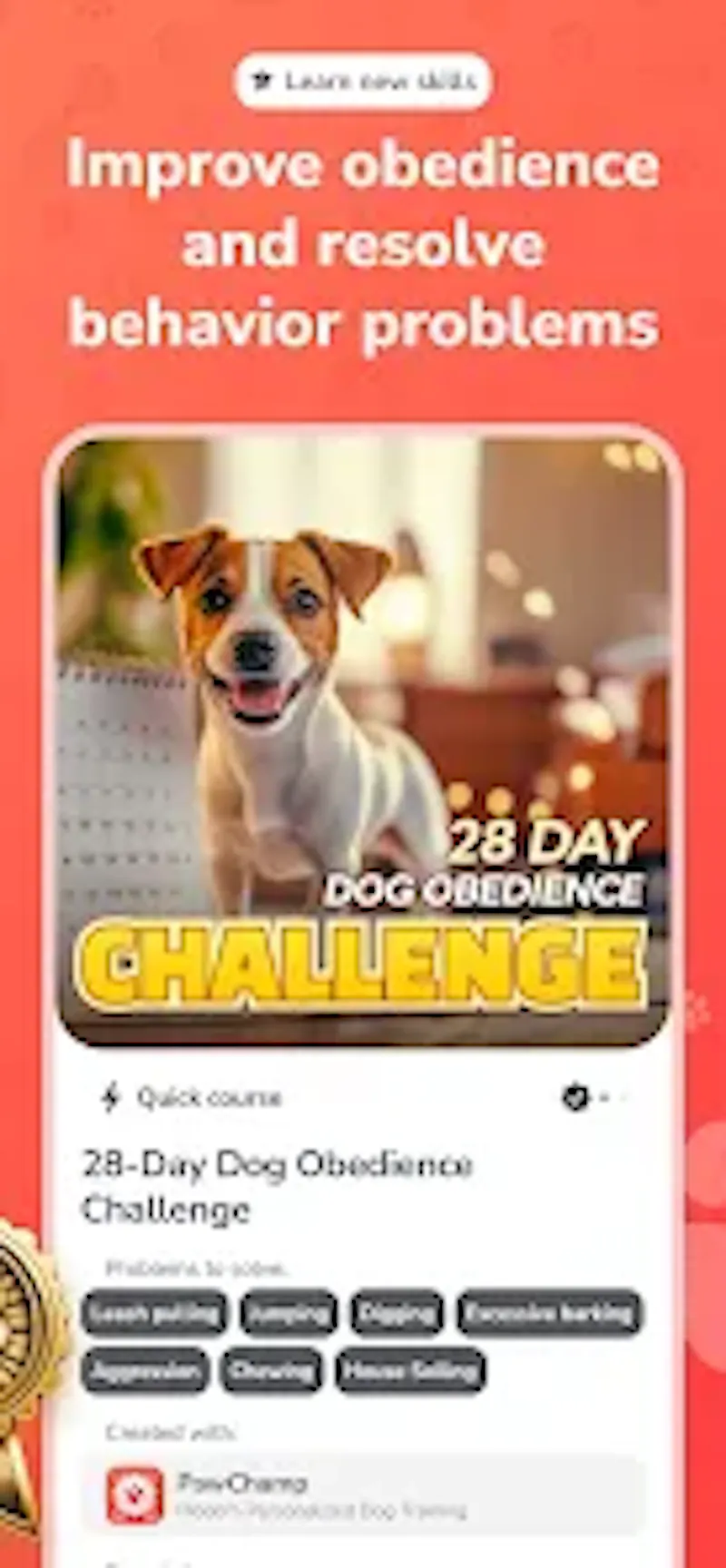 PawChamp screenshot 3