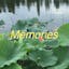 Memories: Photo Widget