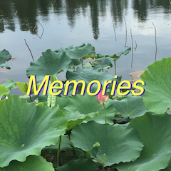 Memórias: widget de foto