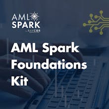 AML Spark by RayCor Consulting gallery image
