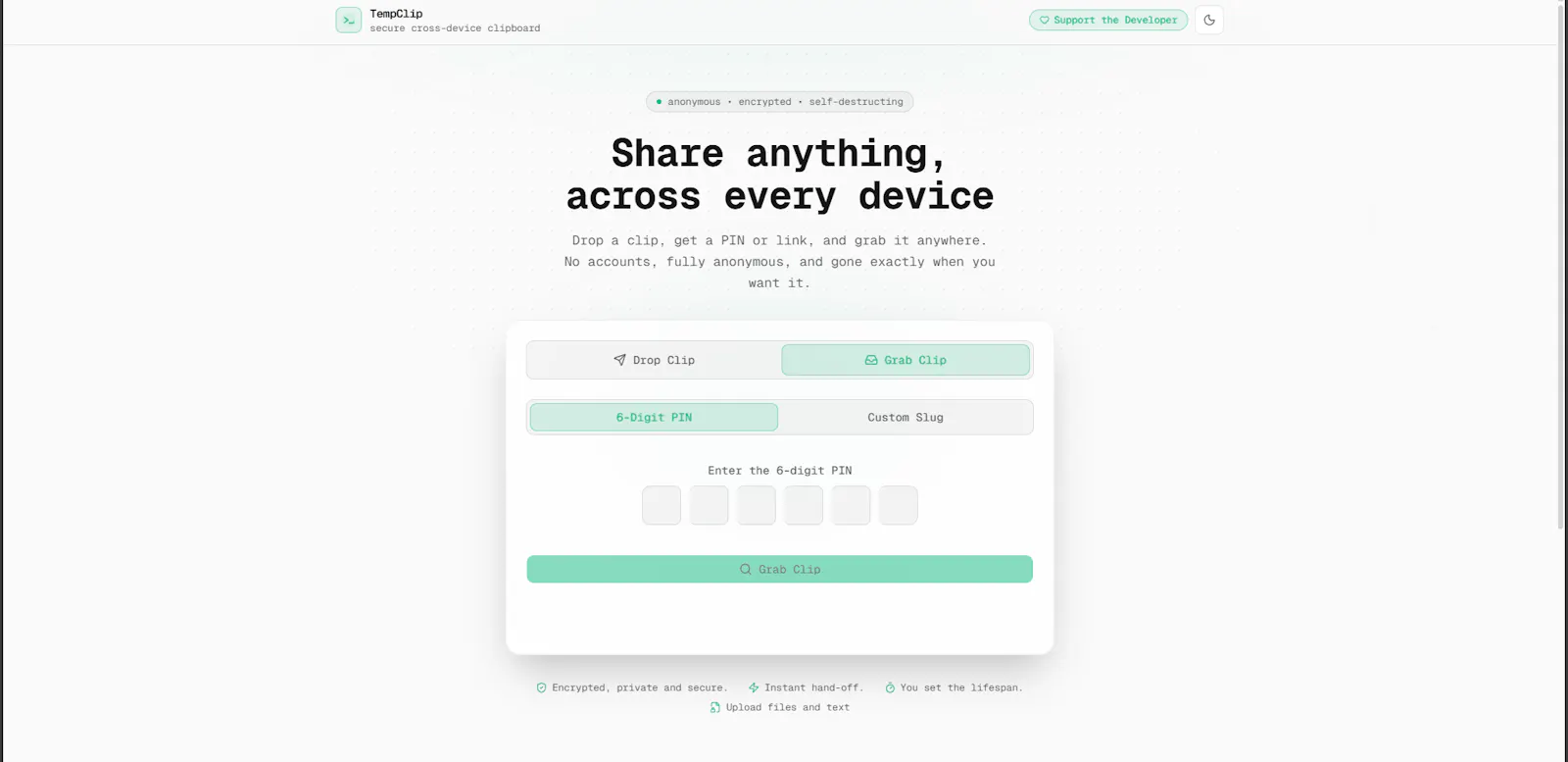 TempClip Pro screenshot 2
