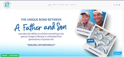 Dragon's Miracle gallery image