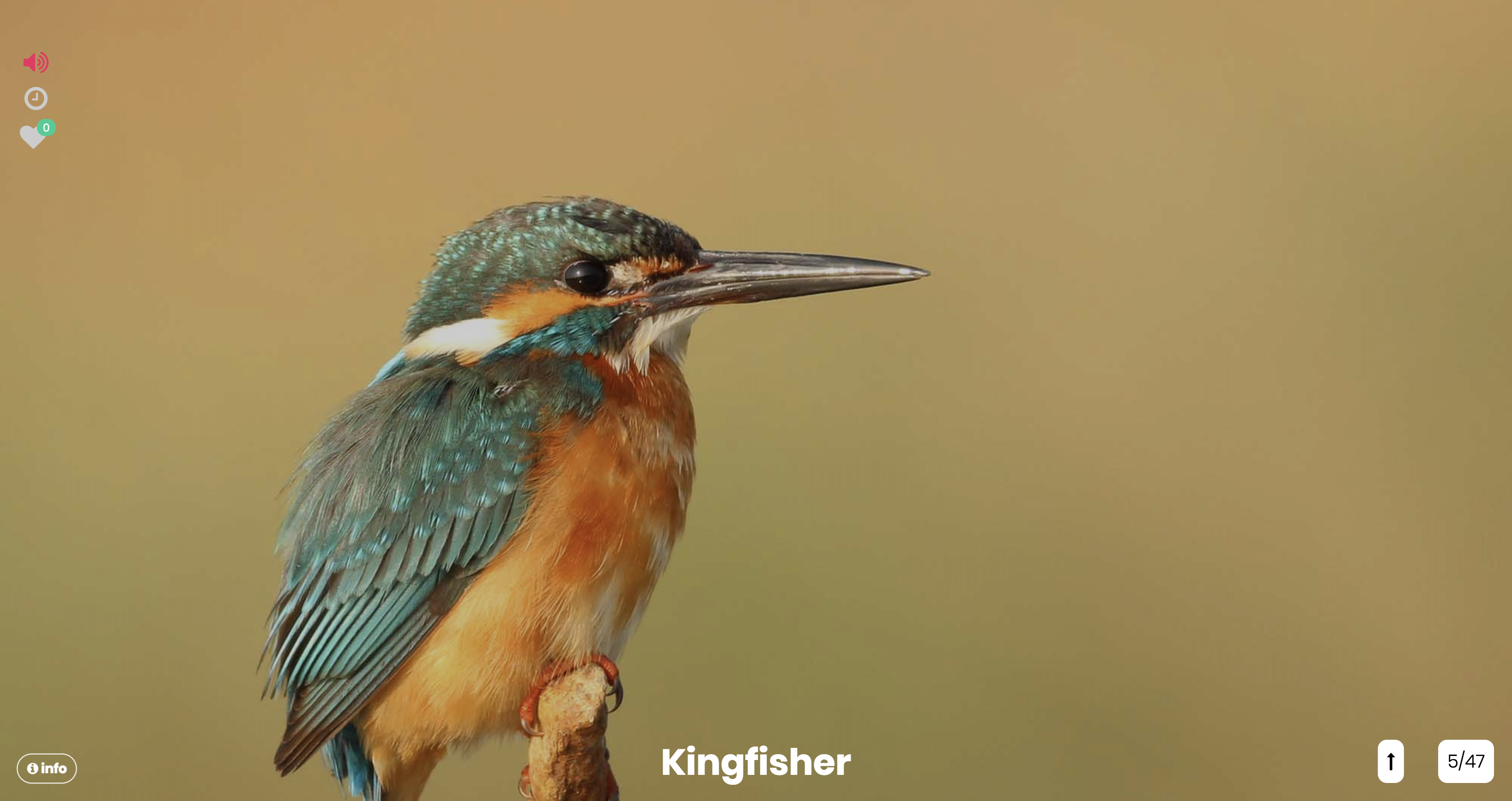 Tiny Know gallery image