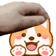 애완 동물 애완 동물 생성기 미디어 1