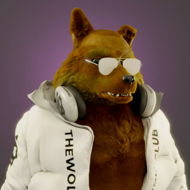 THE WOLF CLUB gallery image