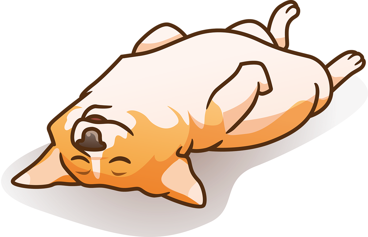 Corgi Splash gallery image