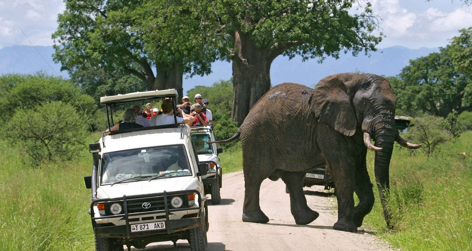 Africantrust Safari gallery image