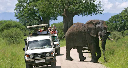 Africantrust Safari gallery image