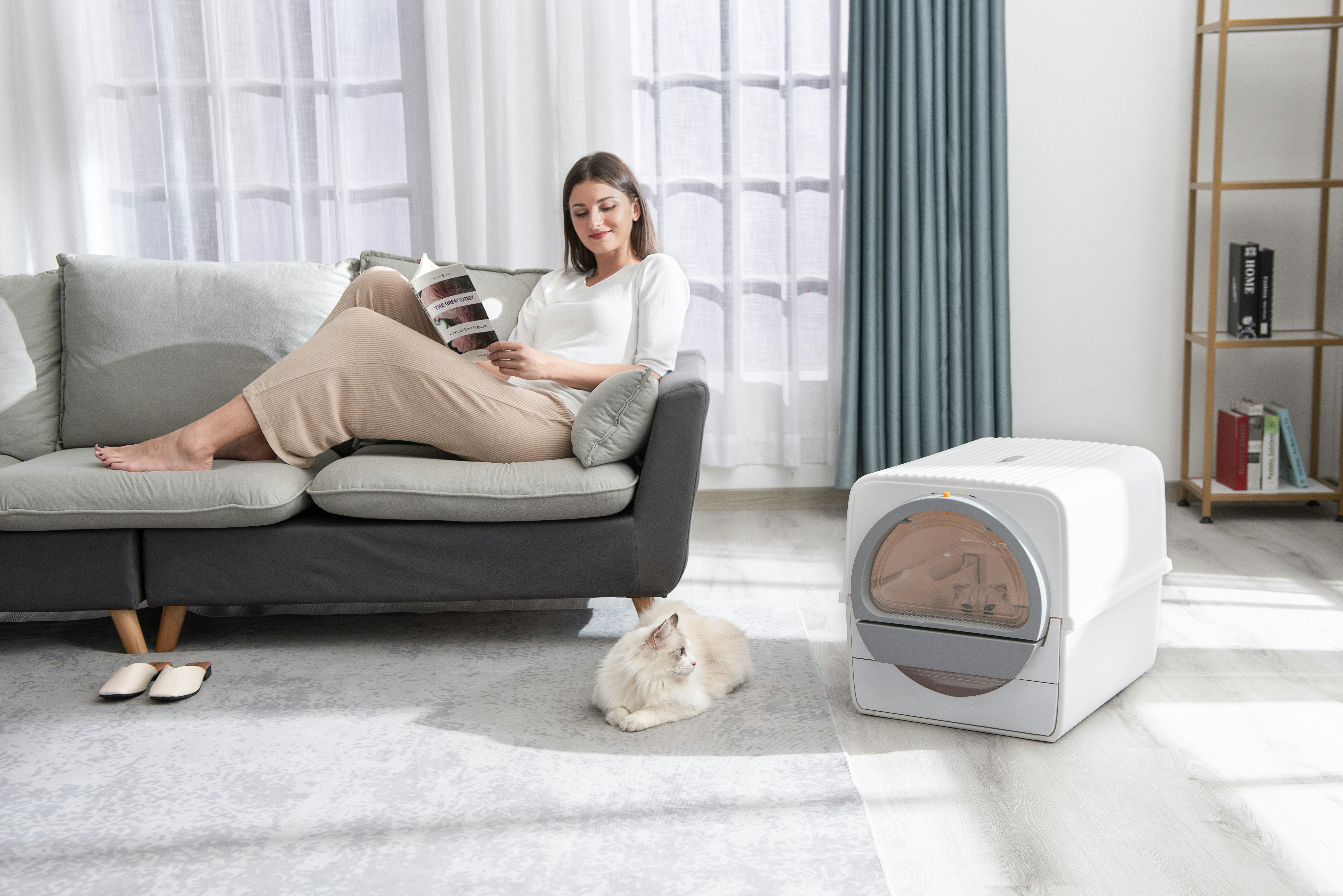 Peterest gallery image