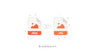 JPEG to JPG Converter gallery image