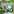 VibeTown City Builder