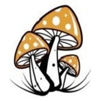 Acheter des psychédéliques en ligne