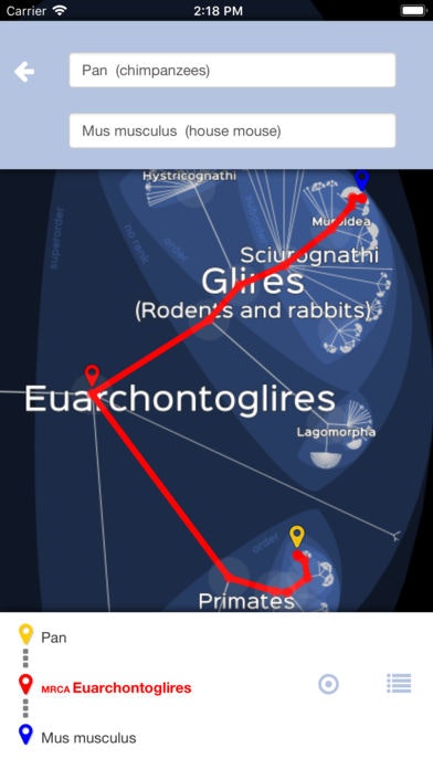 Lifemap - Tree of Life gallery image