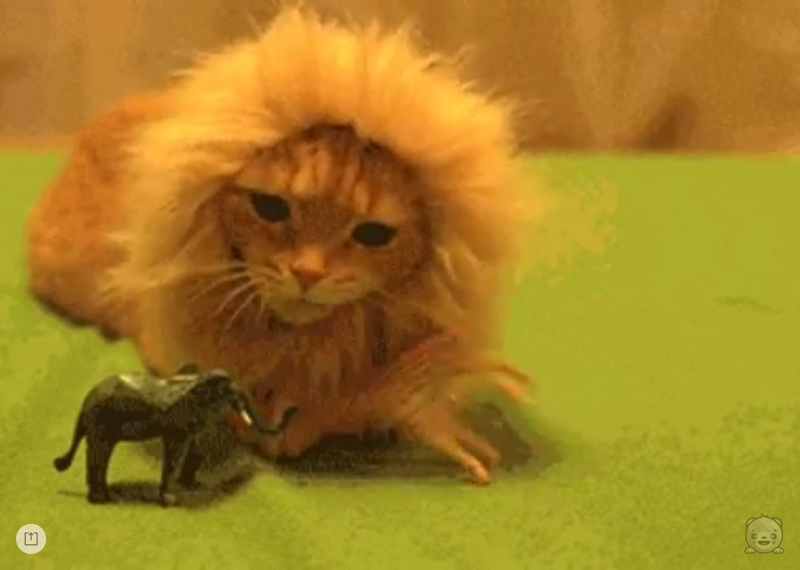 Cute Roulette gallery image