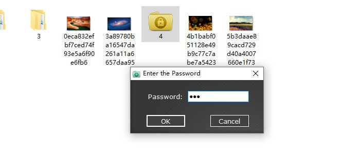 Password Folder gallery image