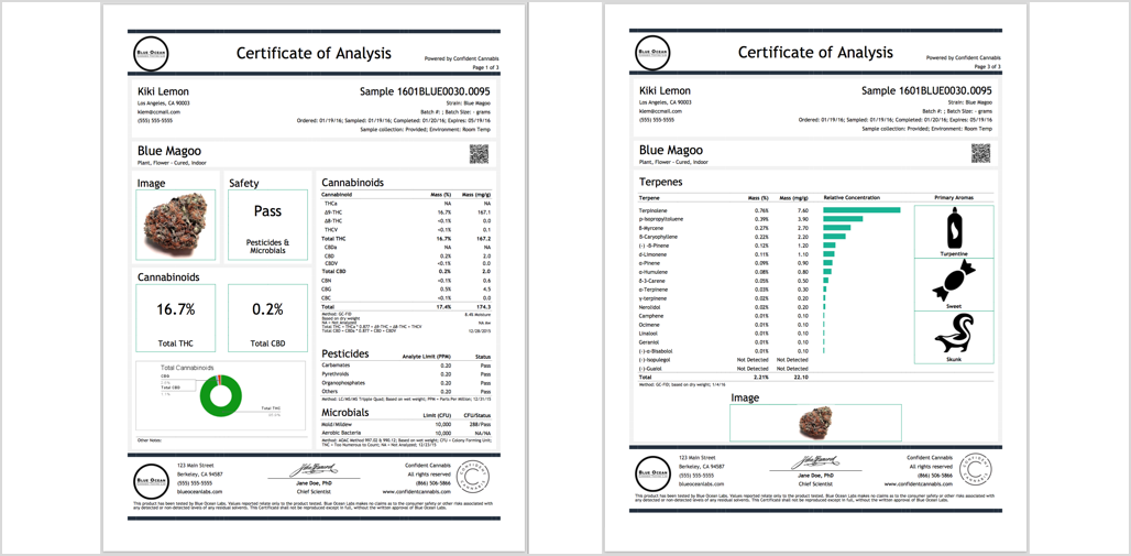 Confident Cannabis gallery image