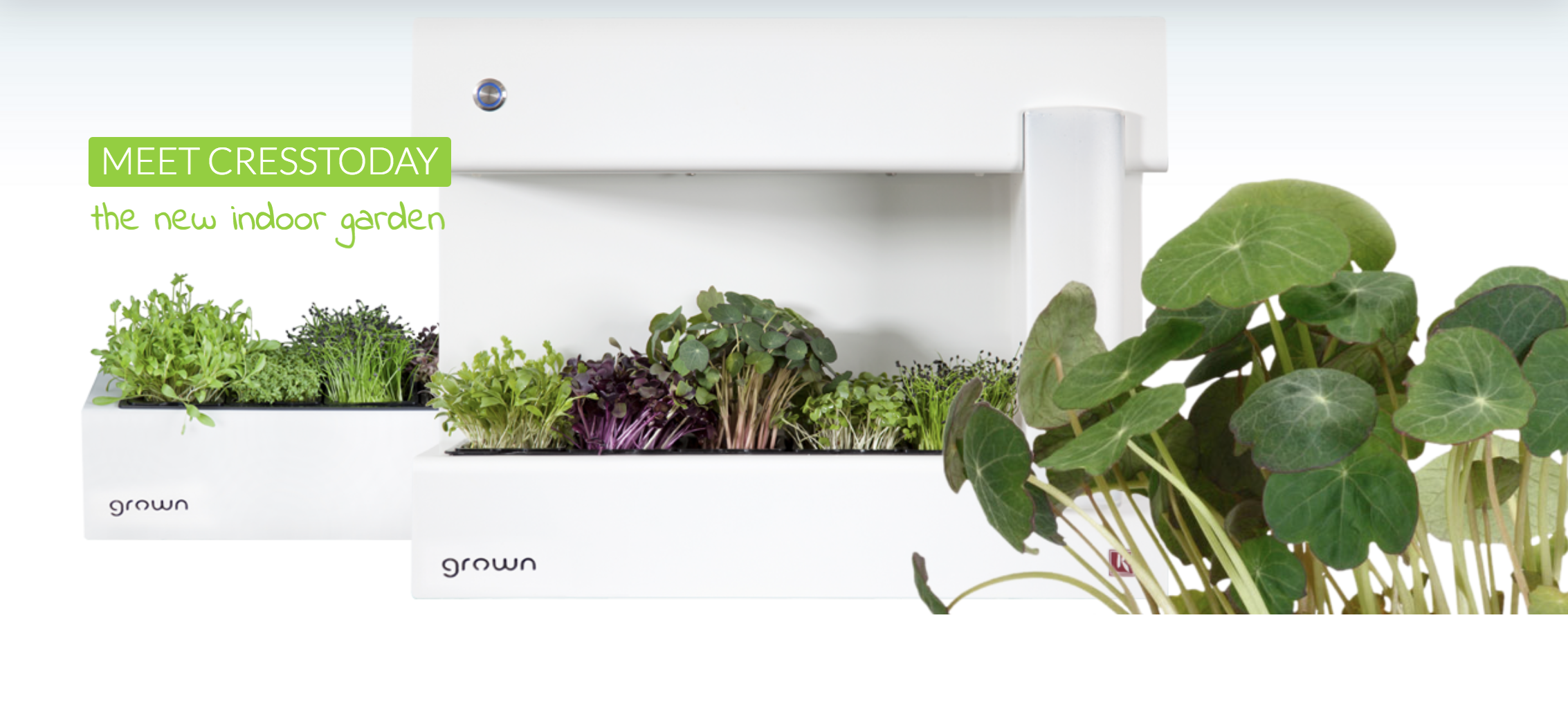 CressToday gallery image