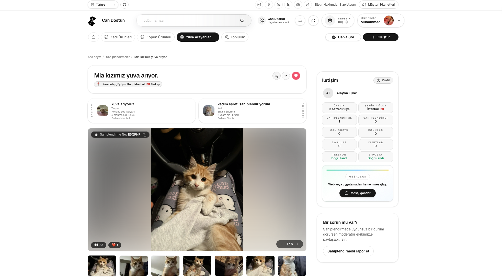 Can Dostun gallery image