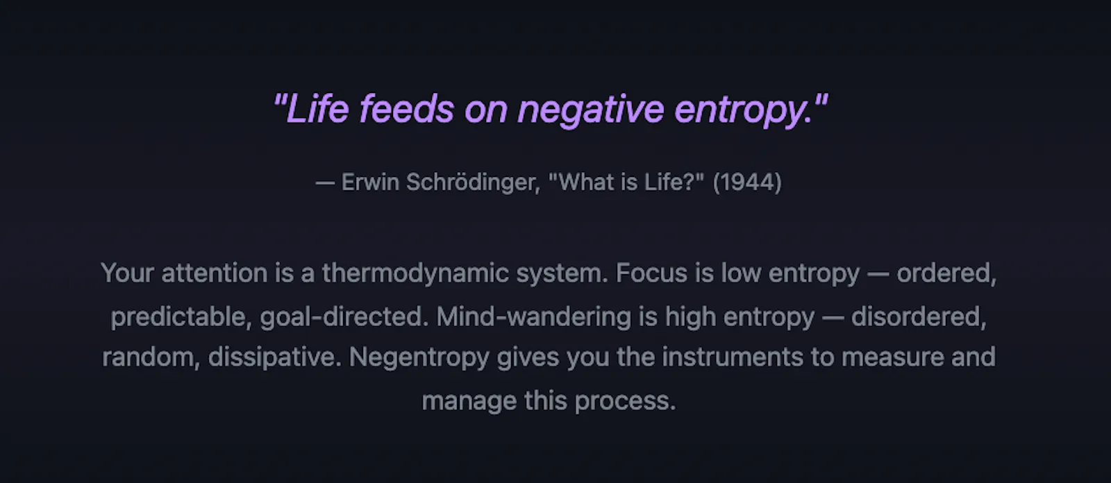 Negentropy v1.0 screenshot 5