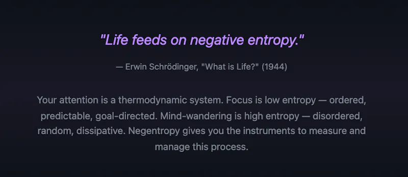Negentropy v1.0 screenshot 5