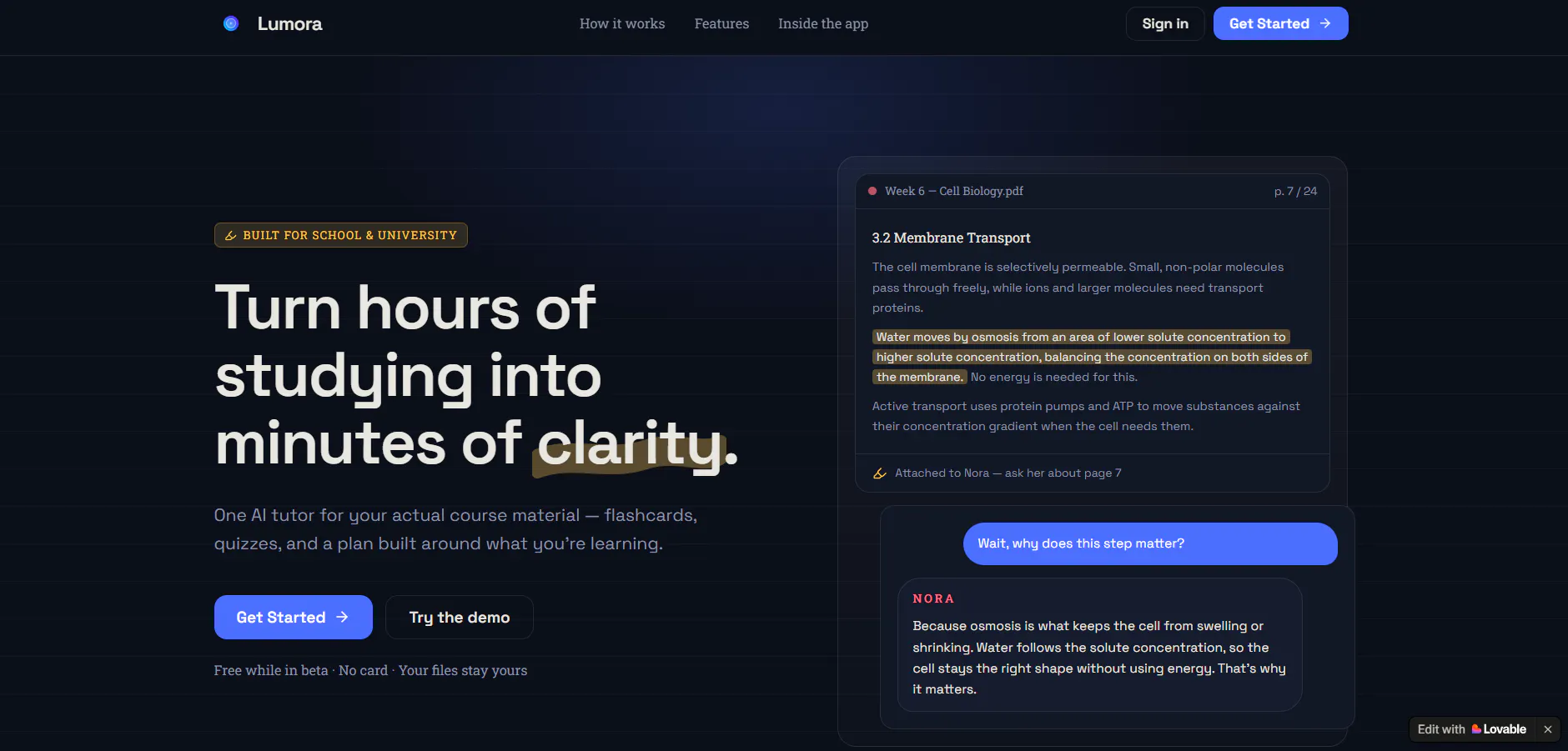 Lumora — Study workspace for students 截图