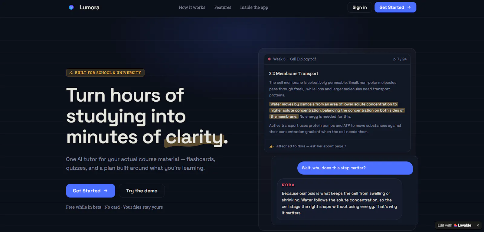 Lumora — Study workspace for students screenshot 1