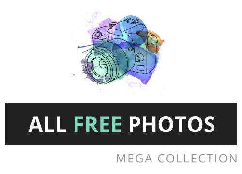 All Free Photos