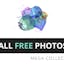 All Free Photos