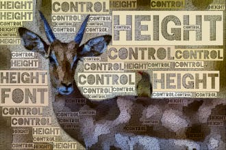 TextPhoto gallery image