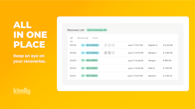 Kindly Payment Reminder gallery image