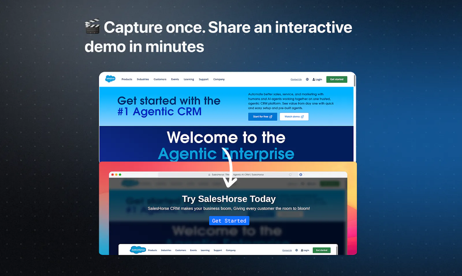 LiveDemo screenshot 2