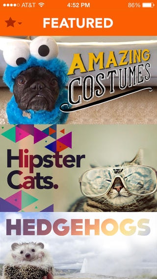 Klooff gallery image