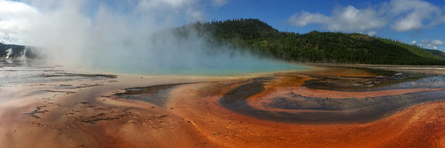 Nikunj Kothari cover