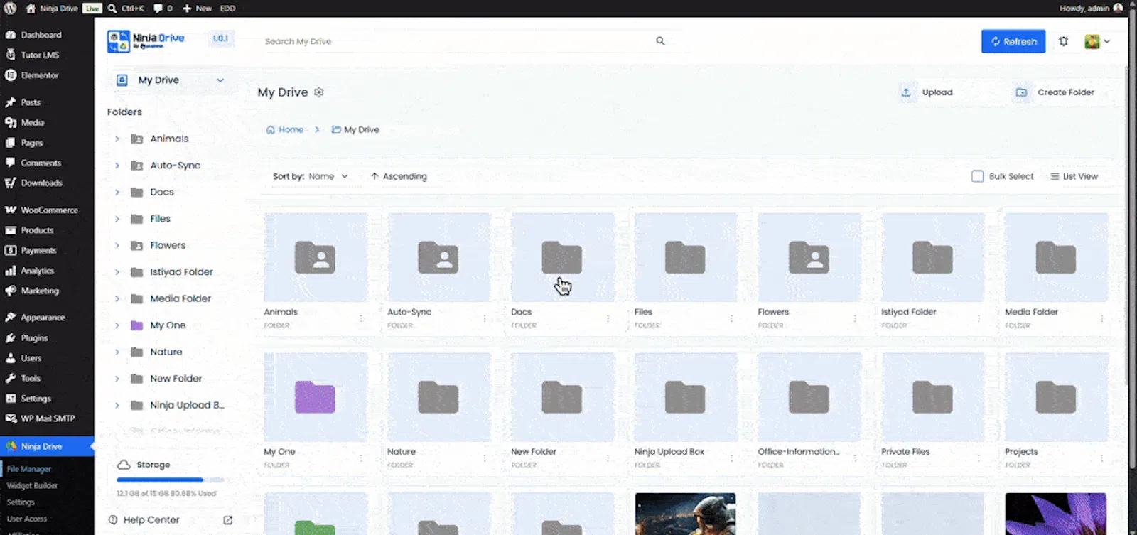 Ninja Drive - Google Drive for WordPress screenshot 3