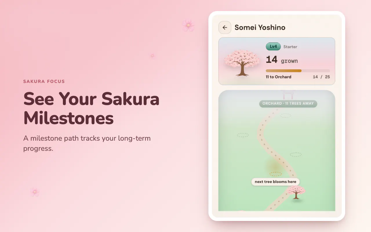 Sakura Focus gallery image