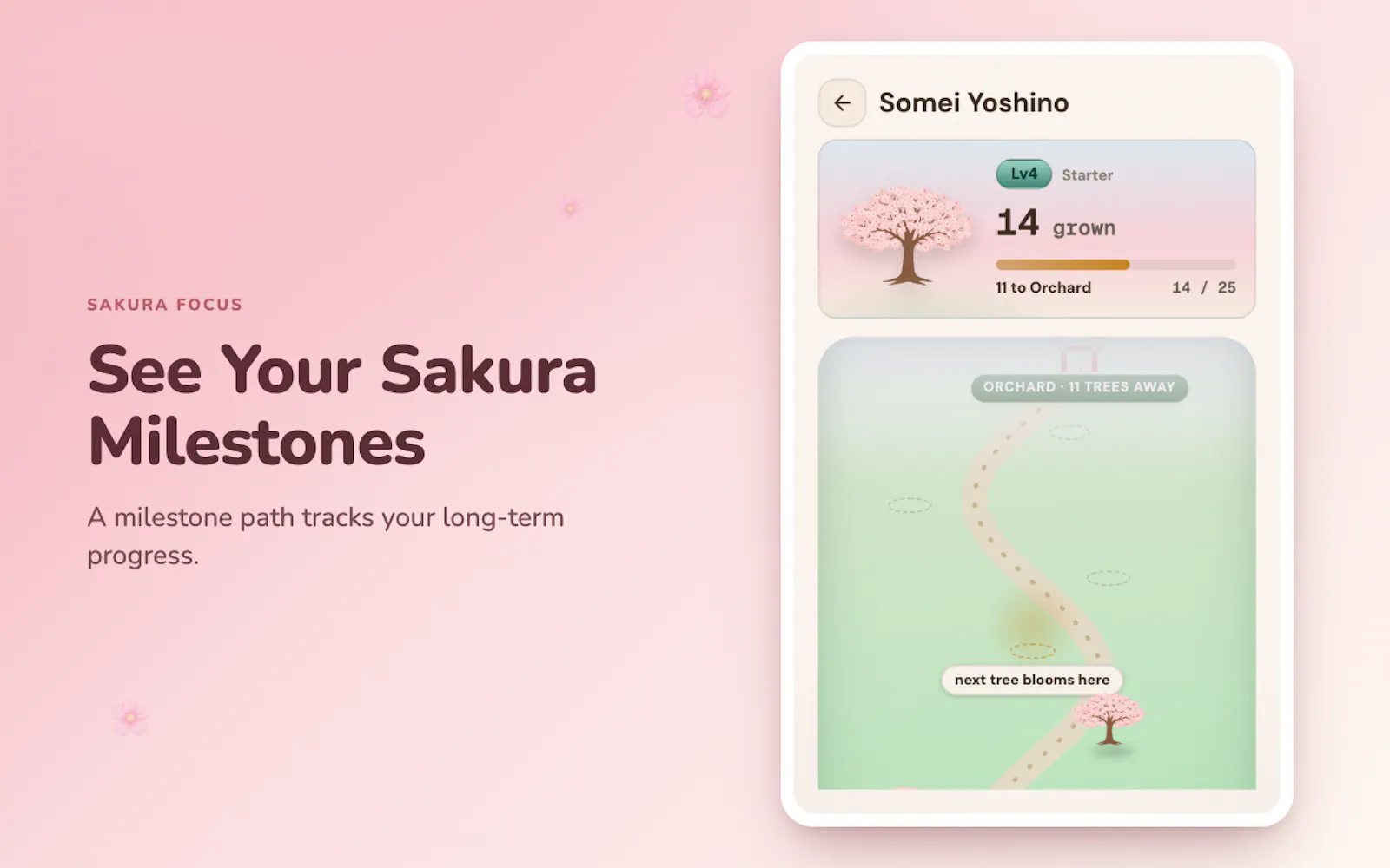 Sakura Focus screenshot 8