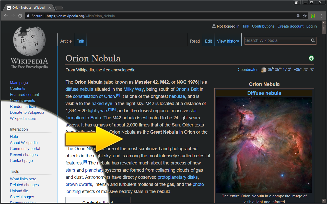 Midnight Lizard gallery image