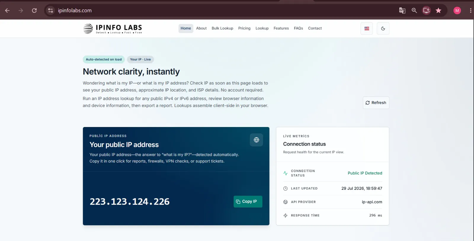 IPinfoLabs screenshot 2