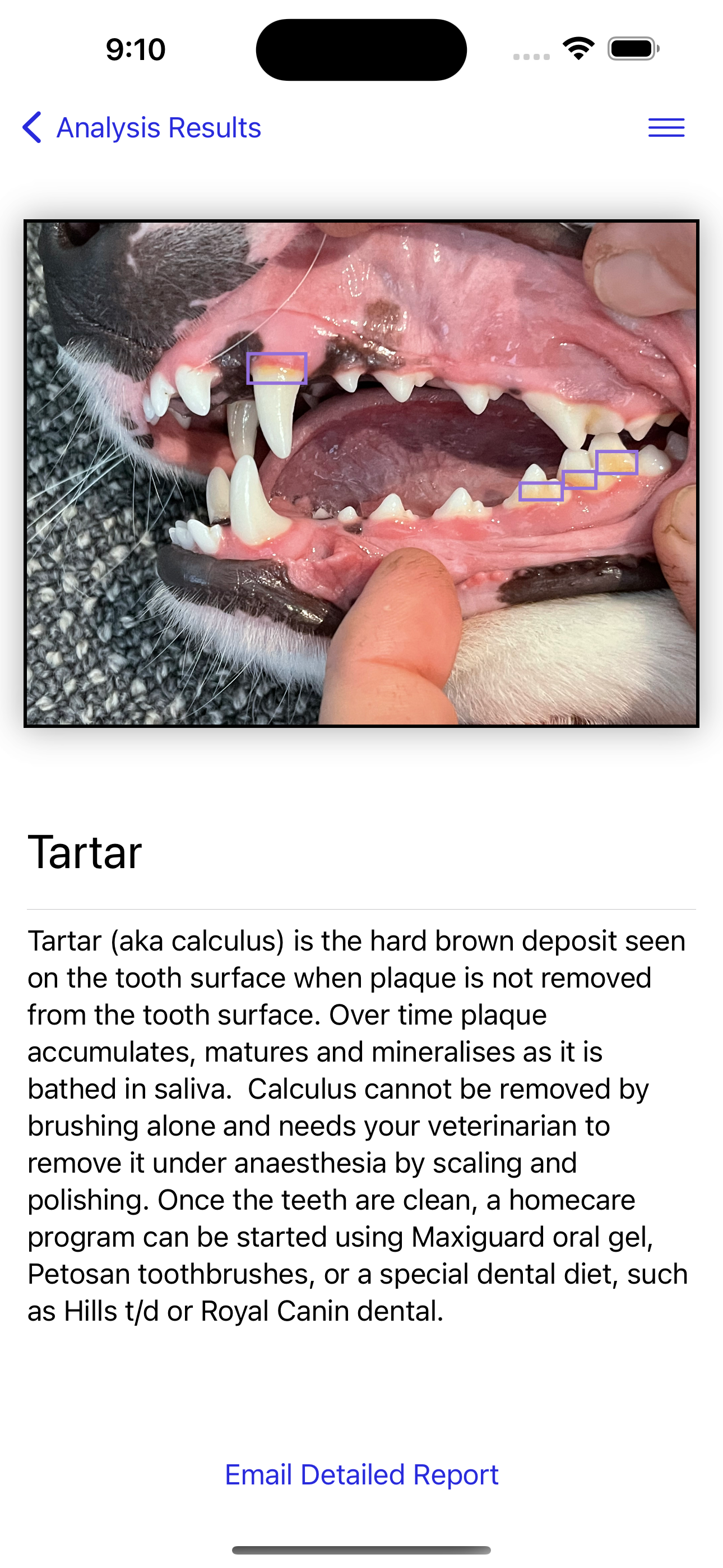 Il mio controllo dentale per animali domestici - Diagnosi dentale istantanea per animali domestici media 4