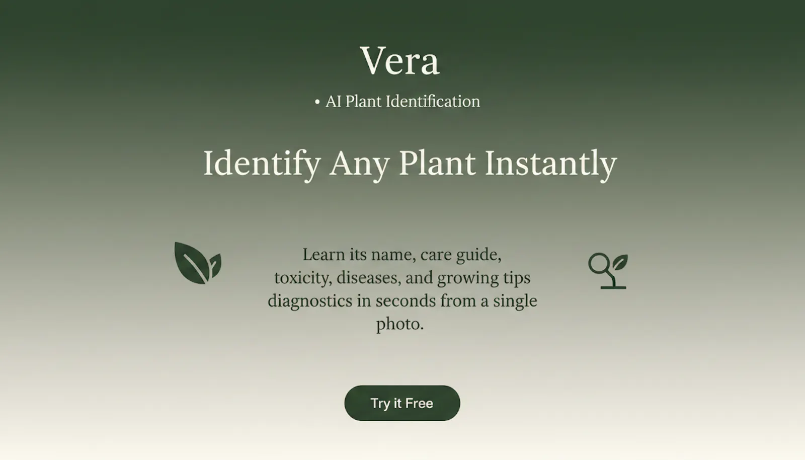 Verta screenshot 1