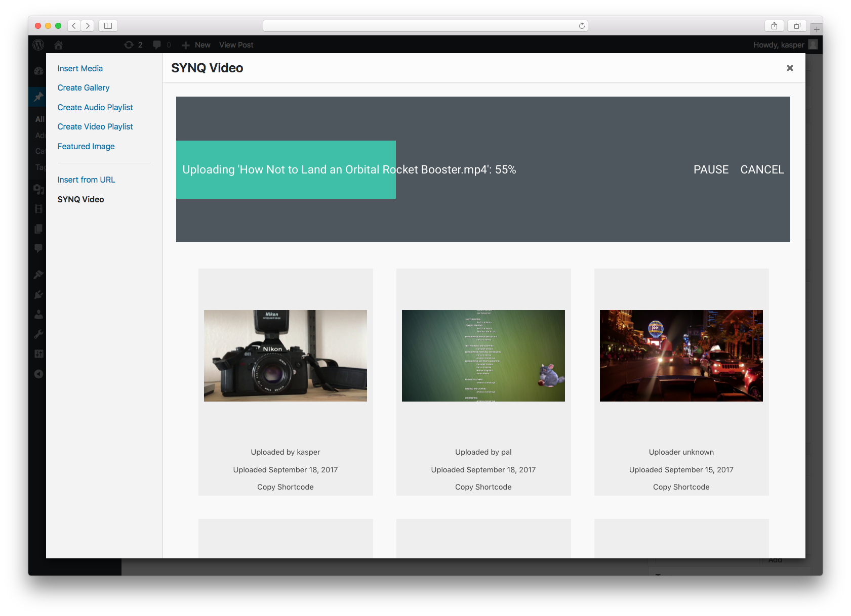 SYNQ Video for WordPress gallery image