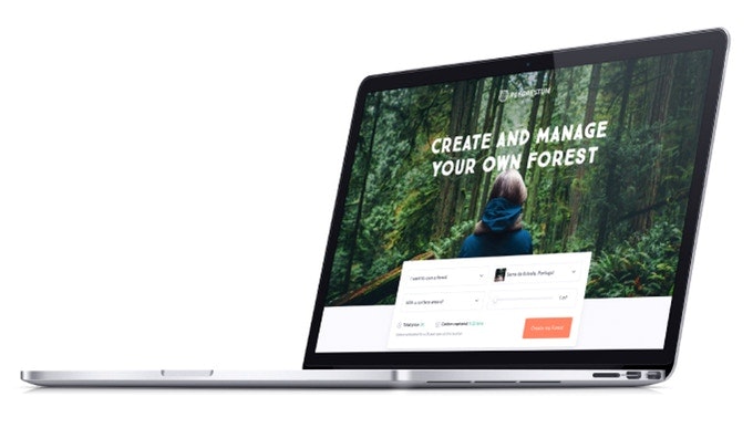 Reforestum gallery image