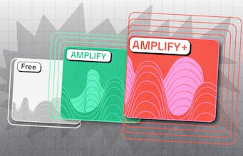 AMPLIFY gallery image