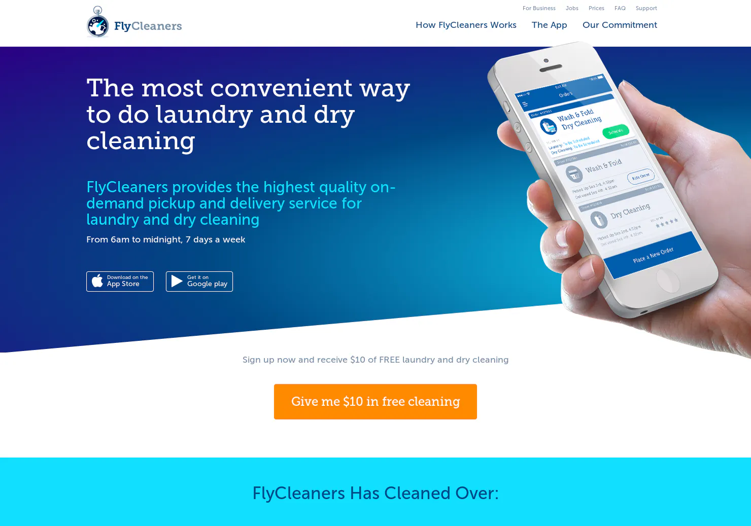 FlyCleaners