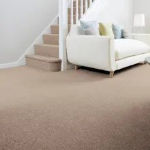 carpetindubai.ae gallery image