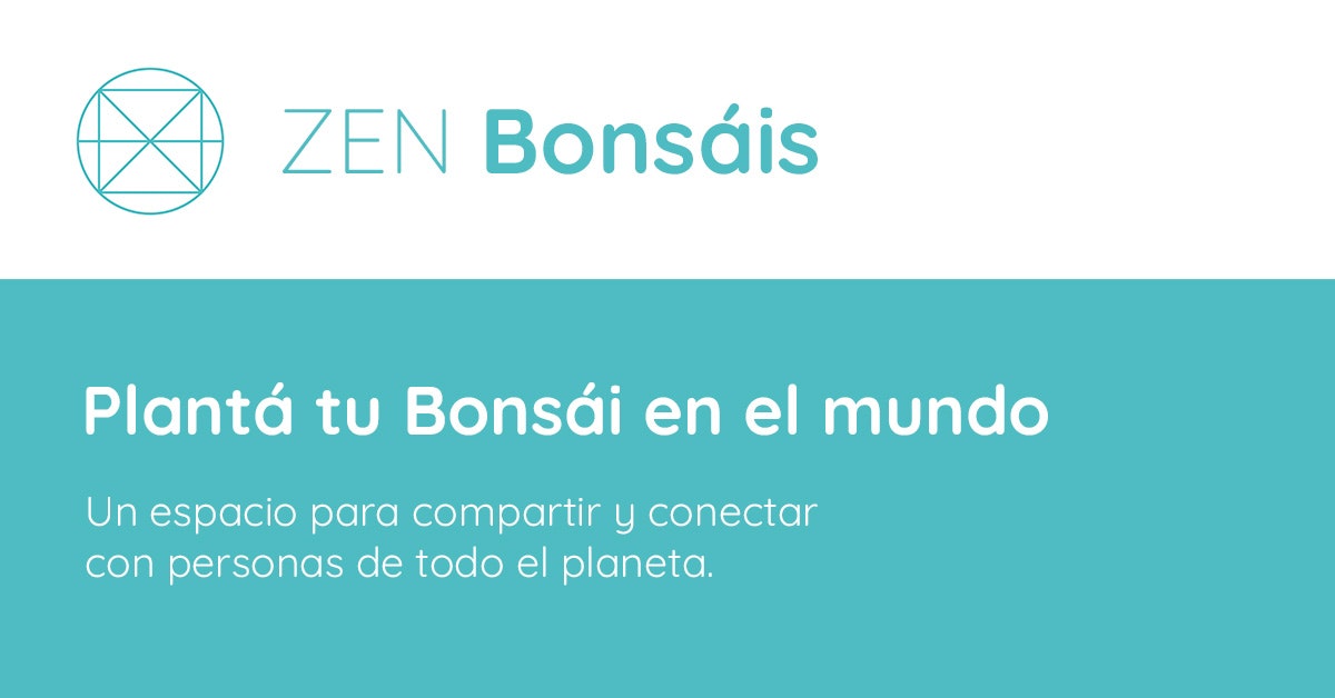 ZEN Bonsáis - Main product screenshot demonstrating key features and user interface
