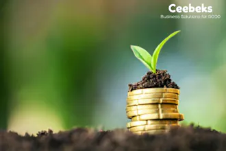 Ceebeks Business Solutions gallery image